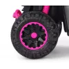 MILLY MALLY Bicicleta infantil con barra de empuje Wild Pink 12