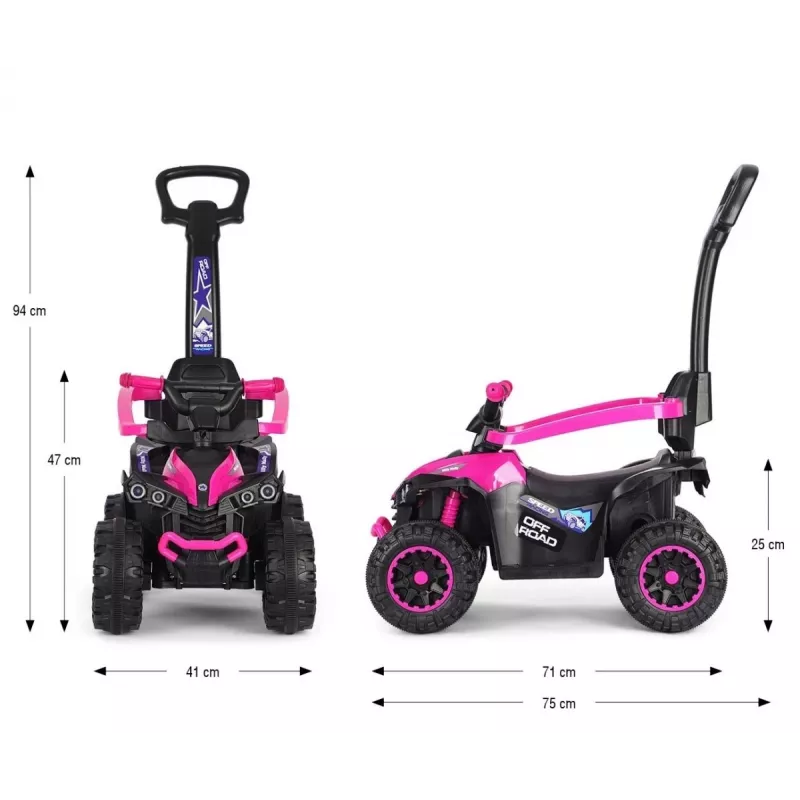 MILLY MALLY Bicicleta infantil con barra de empuje Wild Pink 12