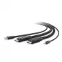 Belkin Secure KVM cable combo - cable de teclado/vídeo/ratón/audio - conforme TAA - USB, conector mini, DisplayPort (conector macho) - 3 m