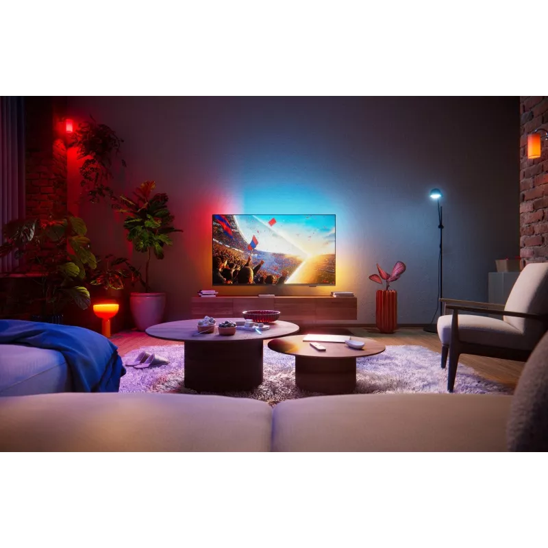 Philips 55PUS8001/12 TV LED Smart 4K Ultra HD de 55