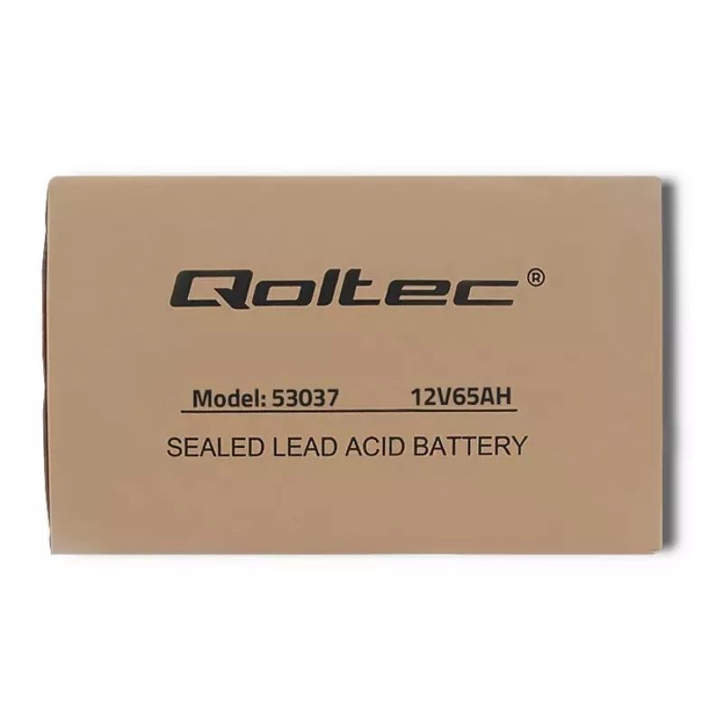 Batería AGM Qoltec 53037 12V 65Ah máx 780A