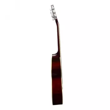 Guitarra clásica V-TONE CG Two NT 4/4 natural