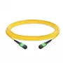 EFB-ELEKTRONIK Cable de conexión MTP/APC hembra a MTP/APC hembra OS2 monomodo, 12 fibras, Type B, LSZH, amarillo, 30 m