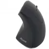 Equip 245110 Ratón inalámbrico ergonómico vertical - Diestros - 2,4 GHz - Receptor USB - Negro