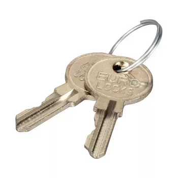 EFB Elektronik Llave para cerradura de seguridad de rack