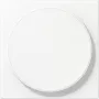JUNG LS WC MAG WWM tapa para carga inalámbrica, termoplástico lacado, blanco alpino, serie LS