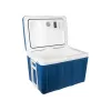 Nevera portátil para coche BLOW Tourist 42L gris/azul termoeléctrica