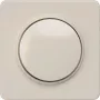 Siemens DELTA miro tapa ciega 1 elemento titanio blanco 5TC8904