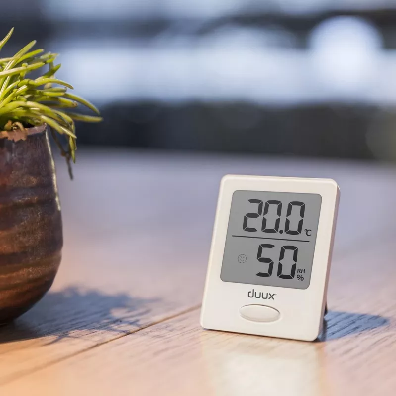 Duux Sense Higrómetro + termómetro Blanco pantalla LCD