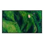 Pantalla profesional 4K HDR Sony FW55BZ35PB.CEI 55