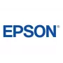 Epson 250XL Light Magenta Cartucho de tinta original (T250XL420-S) Alto rendimiento