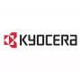 Kyocera DK-3170(E) Unidad de tambor original - 300.000 páginas