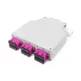 DIGITUS Caja de distribución de fibra óptica para carril DIN, MM OM4, premontada, con adaptador SC y pigtail