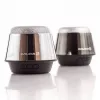 Evelatus Altavoz Bluetooth ESP01 Plata