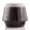 Evelatus Altavoz Bluetooth ESP01 Negro