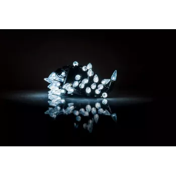 iLike Robin guirnalda luminosa LED bicolor 2m a pilas