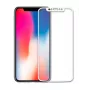 EVELATUS Protector de Pantalla Apple iPhone X 2.5D Full Cover Japan Glue Glass Anti-Static
