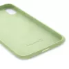 Evelatus Funda de silicona Premium Soft Touch para Apple iPhone XR verde menta