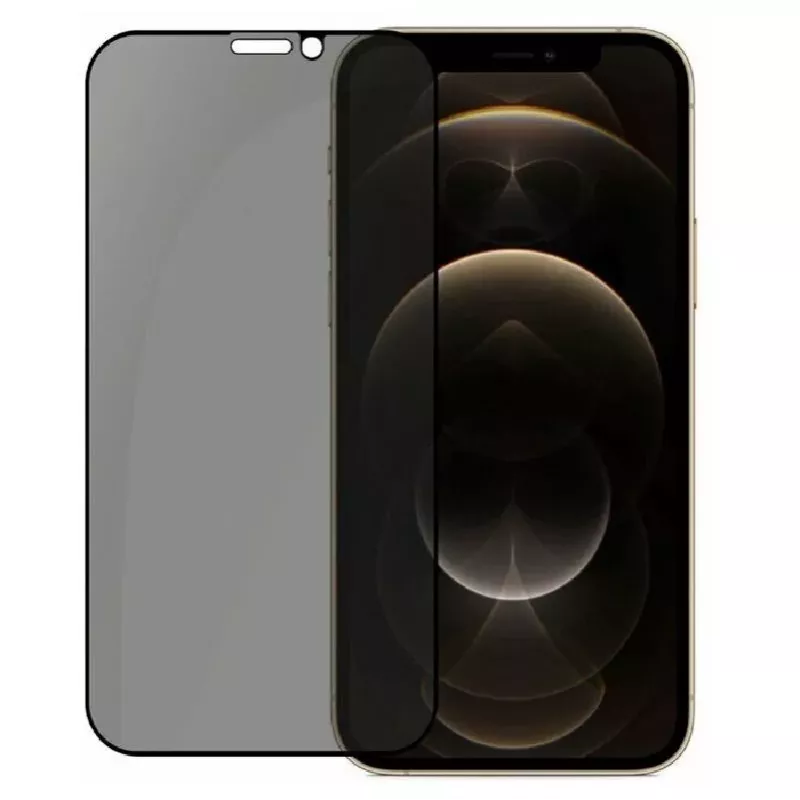 Evelatus Apple iPhone 12 Pro Max Privacy 2.5D Silk Full Cover Japan Glue Protector de pantalla antiestático