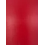Evelatus Universal Classic Cowhide película A3 para plotter de corte rojo