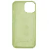 Evelatus Apple iPhone 13 funda de silicona Premium Soft Touch verde matcha