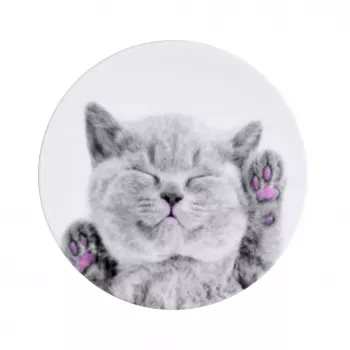 iLike Soporte universal Pop Cat