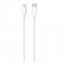 CP cable USB-C a Lightning 20W 2M blanco