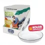 ANIMAL ISLAND NEW JELLY EVERYDAY 12x85g con plato de alimentación