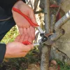 Felco 13 Tijera de podar de una mano Classic - Bypass, capacidad de corte 30 mm, mangos de aluminio forjado