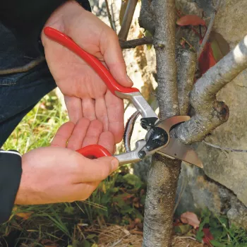 Felco 13 Tijera de podar de una mano Classic - Bypass, capacidad de corte 30 mm, mangos de aluminio forjado