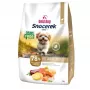 GDD Gold Dog Snocerek Grain Free Small Breeds Beef & Salmon, Potato Pienso para perros - 4 kg