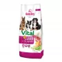 Pienso seco GDD Gold Dog Premium Vital cordero y arroz para perros 12kg
