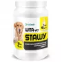 EWE EUROWET Wita-Vet Joints - complemento alimenticio para perros - 30 comprimidos