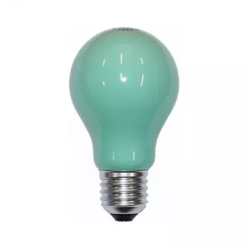 Scharnberger 40246 bombilla incandescente 25W verde B60x105mm E27 240V