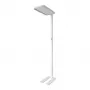 Synergy 21 Lámpara de pie LED Office Line blanca, regulable