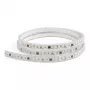 SYNERGY21 tira LED Flex 2835 - 120 NW Pixel DC24V WS2811 IP65