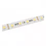 SYNERGY21 tira LED Flex 2835 - 120 WW Pixel DC24V WS2811 IP20