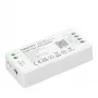 Synergy 21 LED controlador Matter Series 2en1 color único / blanco dual (CCT) regulable DC12/24V Matter over WiFi + 2,4GHz MiLight/MiBoxer (SM2)