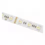 SYNERGY21 Tira LED Flex 2835 - 60 WW Pixel DC24V WS2811 IP20