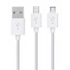 Rio DCWU-EU/1,6 Kit de blanqueamiento dental USB
