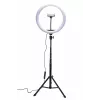 RIO RL12-EU/1,4 Anillo de luz RGB Studio Beauty 30cm
