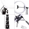 RIO RL12-EU/1,4 Anillo de luz RGB Studio Beauty 30cm
