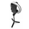 RIO RLRC-EU/1,3 Anillo de luz Glamour Glow Beauty y Vlogging 15 cm