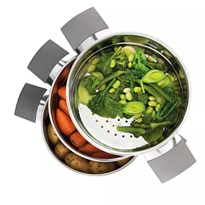 Russell Hobbs RH011701EU7 Excellence vaporera de 3 niveles 9L 1000W temporizador digital