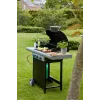 Barbecook Barbacoa de gas Spring 3112 con almacenamiento, 115 x 55 x 133 cm