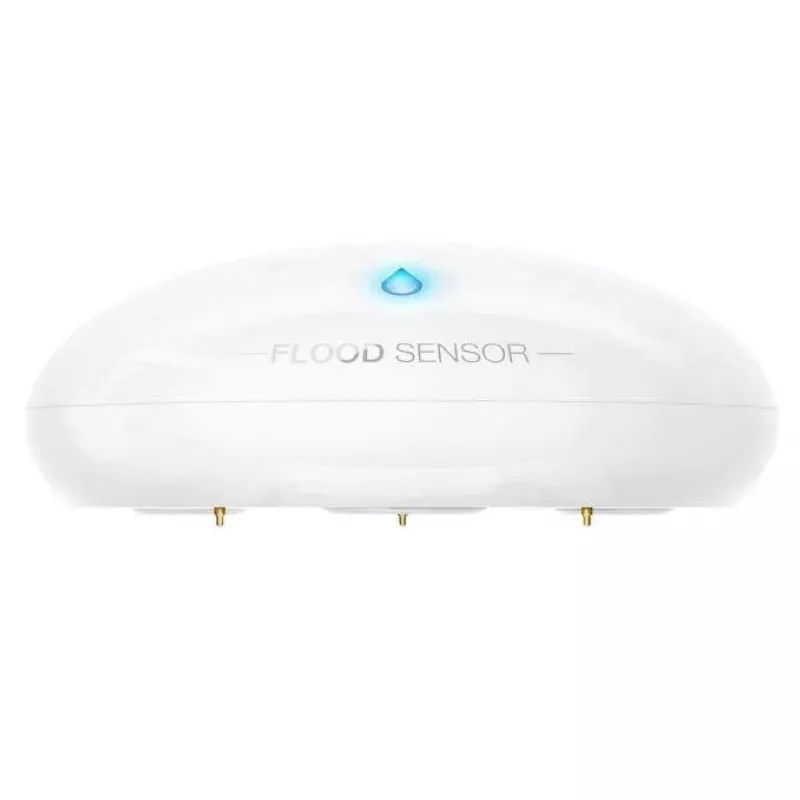 Sensor de inundación y temperatura Nice Flood-Control FGFS-101 ZW5 EU