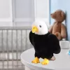 LEAN TOYS Peluche mascota de águila blanco y negro 25 cm