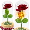 LEAN Rosa eterna en cúpula de cristal con iluminación LED roja 21x11cm