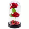 LEAN 2 rosas eternas en cúpula con iluminación LED y pétalos de rosa rojas 21x11cm
