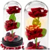 LEAN 2 rosas eternas en cúpula con iluminación LED y pétalos de rosa rojas 21x11cm